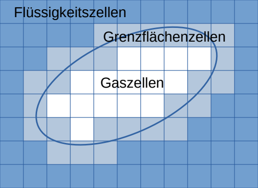 Abbildung Zelltypen in der FSLBM